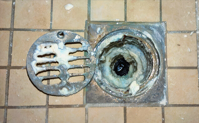 https://blockeddrainsmorley.com.au/uploads/2025/07/blocked-shower-drains-33151.jpg