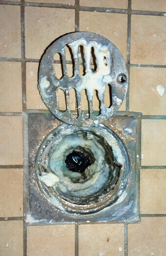 https://blockeddrainsmorley.com.au/uploads/2025/07/blocked-shower-drains-86331.jpg