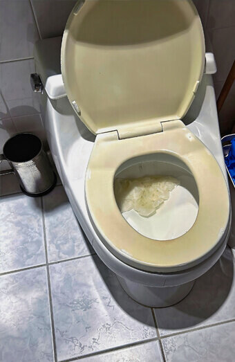 https://blockeddrainsmorley.com.au/uploads/2025/07/blocked-toilet-27293.jpg