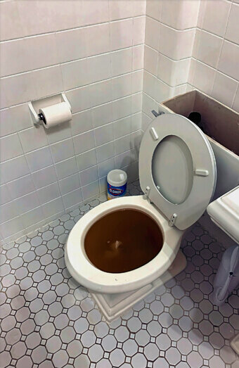 https://blockeddrainsmorley.com.au/uploads/2025/07/blocked-toilet-42230.jpg